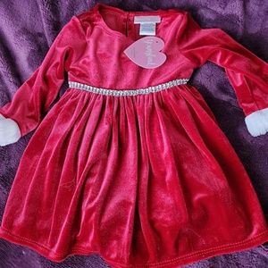 Christmas/Holiday Dress